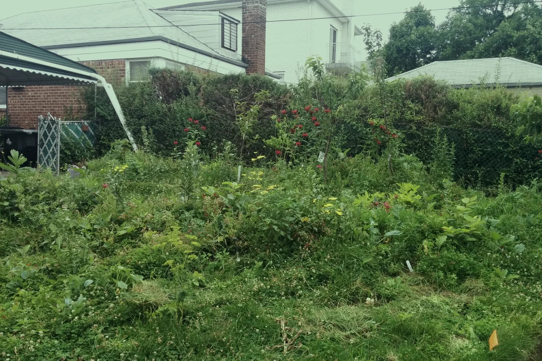 A mature garden bed in front of a house